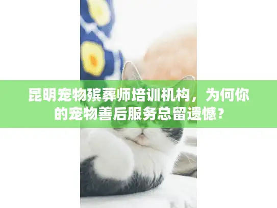 昆明宠物殡葬师培训机构，为何你的宠物善后服务总留遗憾？