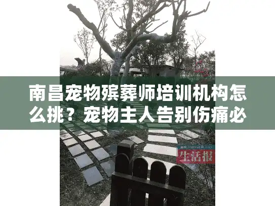 南昌宠物殡葬师培训机构怎么挑？宠物主人告别伤痛必知秘笈