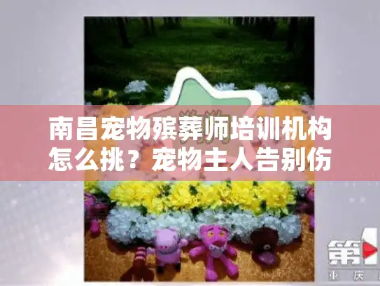 南昌宠物殡葬师培训机构怎么挑？宠物主人告别伤痛必知秘笈