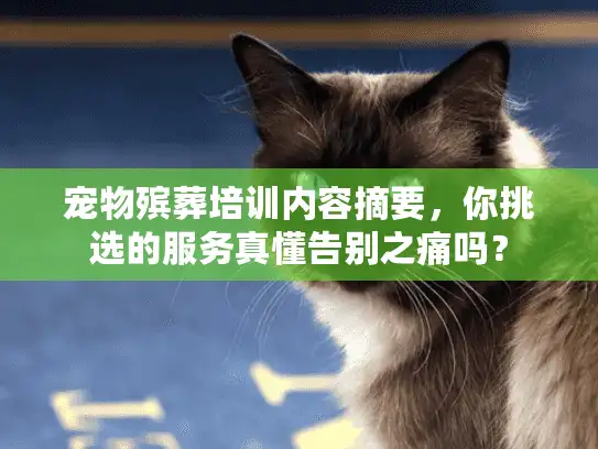宠物殡葬培训内容摘要，你挑选的服务真懂告别之痛吗？