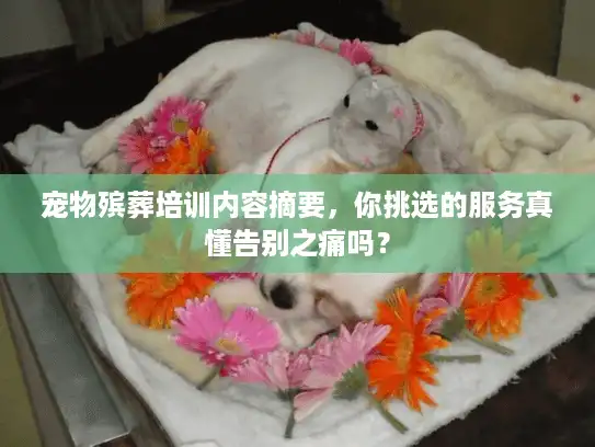 宠物殡葬培训内容摘要，你挑选的服务真懂告别之痛吗？