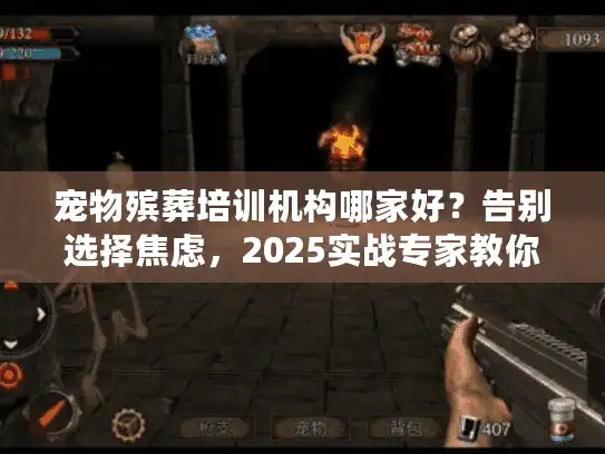 宠物殡葬培训机构哪家好？告别选择焦虑，2025实战专家教你精准锁定