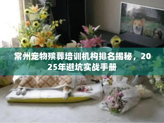 常州宠物殡葬培训机构排名揭秘，2025年避坑实战手册
