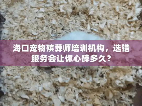 海口宠物殡葬师培训机构，选错服务会让你心碎多久？