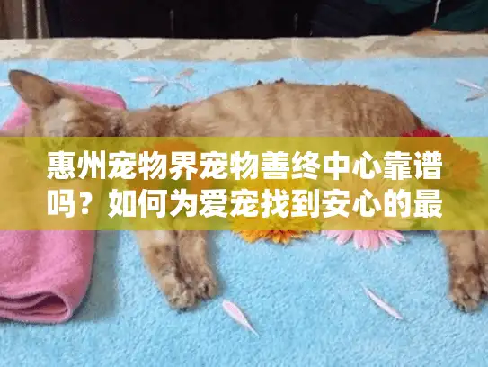 惠州宠物界宠物善终中心靠谱吗？如何为爱宠找到安心的最后归宿？