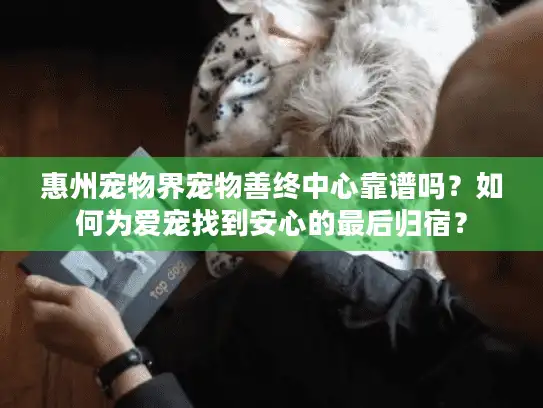 惠州宠物界宠物善终中心靠谱吗？如何为爱宠找到安心的最后归宿？