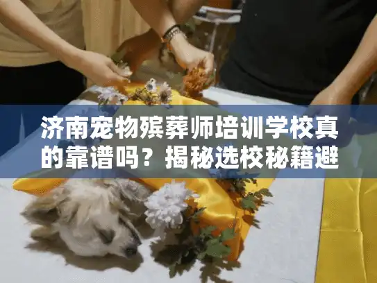 济南宠物殡葬师培训学校真的靠谱吗？揭秘选校秘籍避坑关键