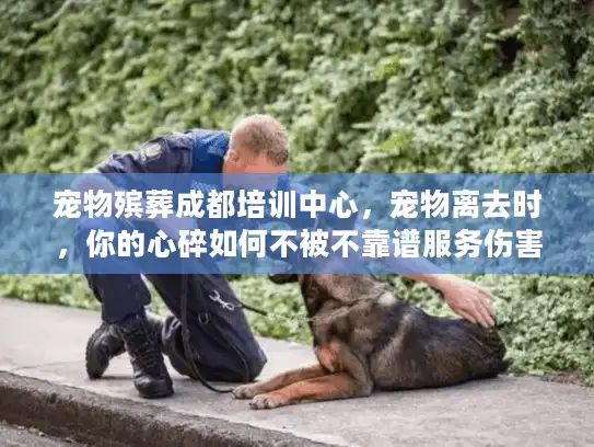 宠物殡葬成都培训中心，宠物离去时，你的心碎如何不被不靠谱服务伤害？