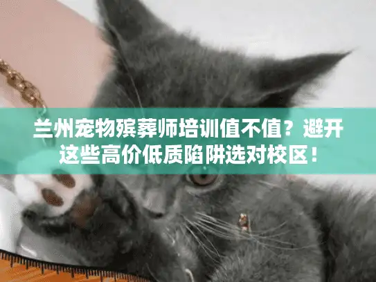 兰州宠物殡葬师培训值不值？避开这些高价低质陷阱选对校区！