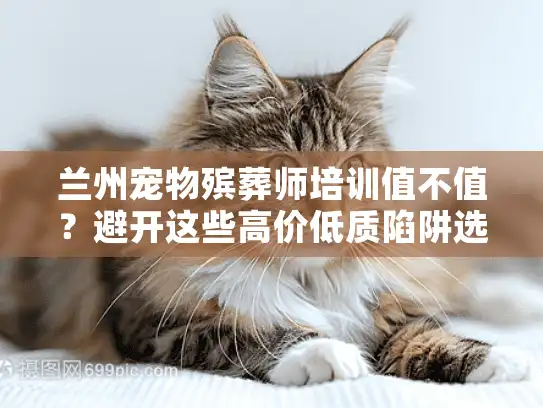 兰州宠物殡葬师培训值不值？避开这些高价低质陷阱选对校区！