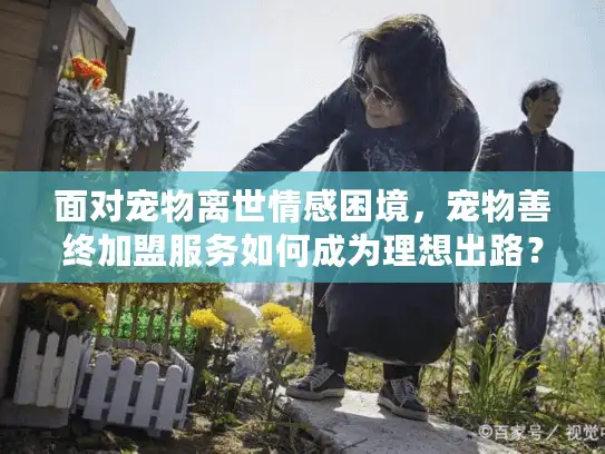 面对宠物离世情感困境，宠物善终加盟服务如何成为理想出路？