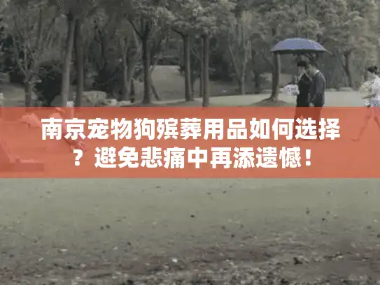 南京宠物狗殡葬用品如何选择？避免悲痛中再添遗憾！