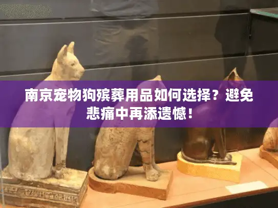南京宠物狗殡葬用品如何选择？避免悲痛中再添遗憾！