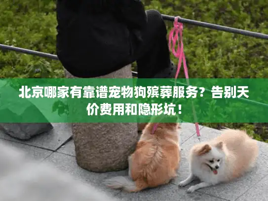 北京哪家有靠谱宠物狗殡葬服务？告别天价费用和隐形坑！