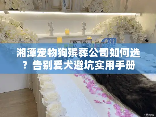 湘潭宠物狗殡葬公司如何选？告别爱犬避坑实用手册