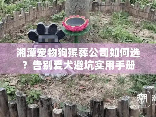 湘潭宠物狗殡葬公司如何选？告别爱犬避坑实用手册