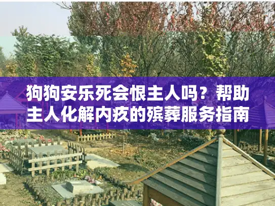 狗狗安乐死会恨主人吗？帮助主人化解内疚的殡葬服务指南