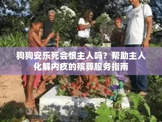 狗狗安乐死会恨主人吗？帮助主人化解内疚的殡葬服务指南