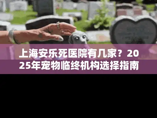 上海安乐死医院有几家？2025年宠物临终机构选择指南