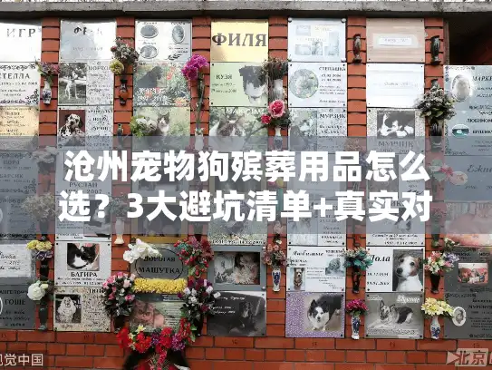 沧州宠物狗殡葬用品怎么选？3大避坑清单+真实对比