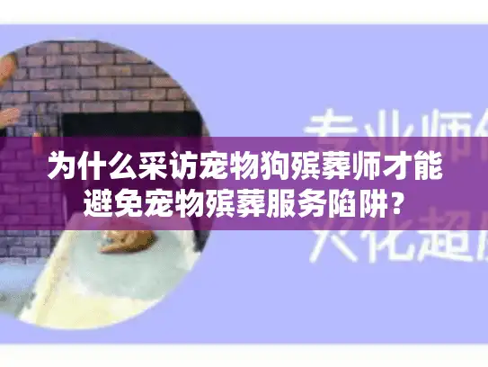 为什么采访宠物狗殡葬师才能避免宠物殡葬服务陷阱？