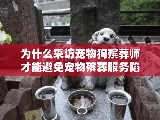 为什么采访宠物狗殡葬师才能避免宠物殡葬服务陷阱？