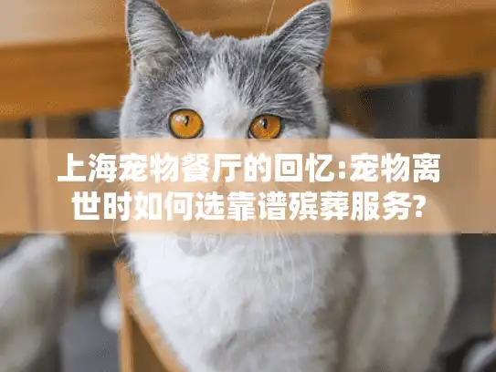 上海宠物餐厅的回忆:宠物离世时如何选靠谱殡葬服务?