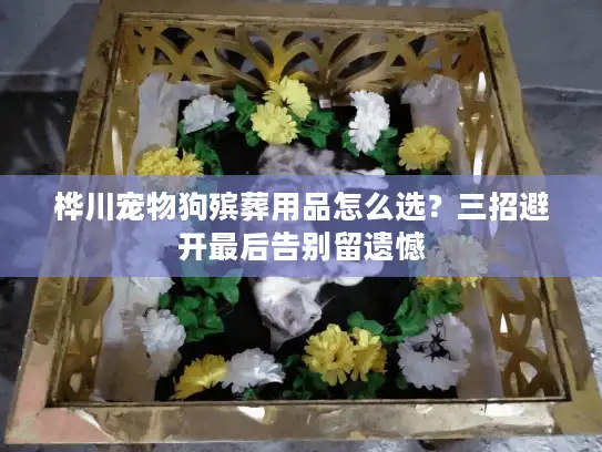 桦川宠物狗殡葬用品怎么选？三招避开最后告别留遗憾