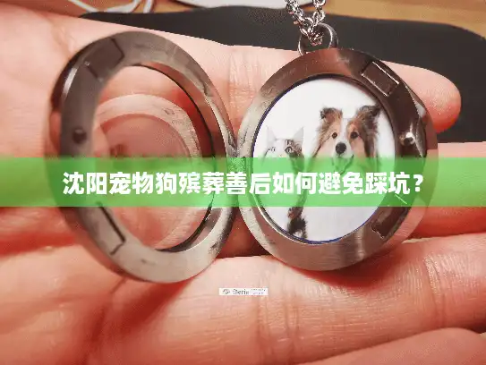 沈阳宠物狗殡葬善后如何避免踩坑？