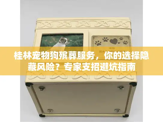 桂林宠物狗殡葬服务，你的选择隐藏风险？专家支招避坑指南