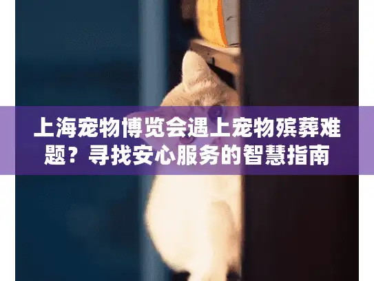上海宠物博览会遇上宠物殡葬难题？寻找安心服务的智慧指南