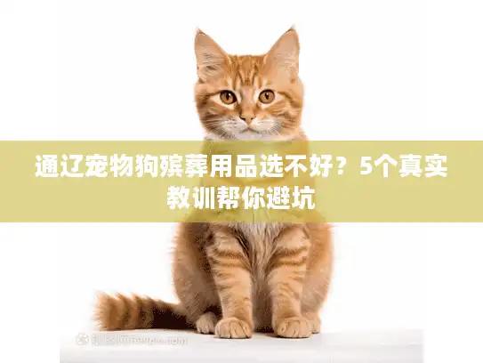 通辽宠物狗殡葬用品选不好？5个真实教训帮你避坑