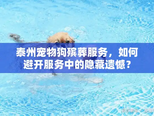 泰州宠物狗殡葬服务，如何避开服务中的隐藏遗憾？