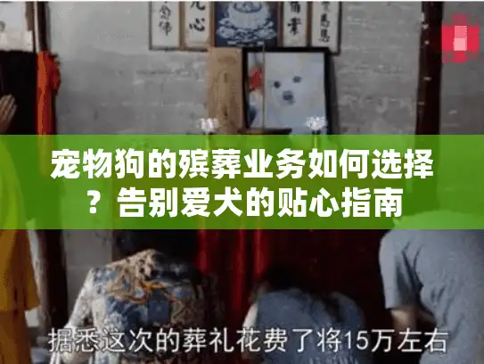宠物狗的殡葬业务如何选择？告别爱犬的贴心指南