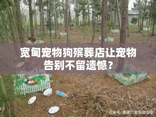 宽甸宠物狗殡葬店让宠物告别不留遗憾？