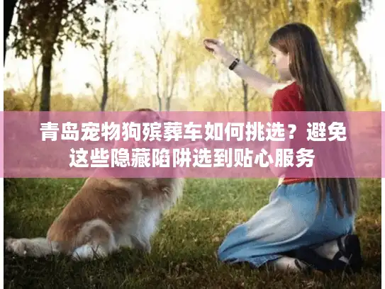 青岛宠物狗殡葬车如何挑选？避免这些隐藏陷阱选到贴心服务