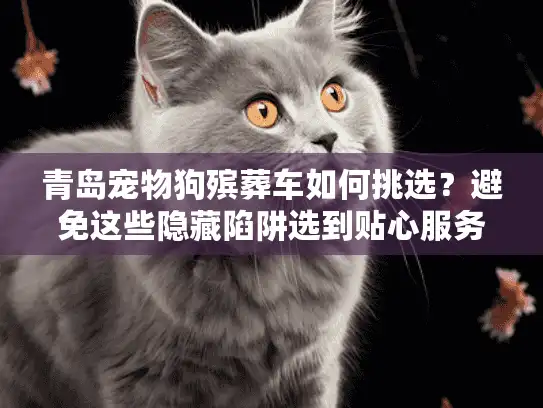 青岛宠物狗殡葬车如何挑选？避免这些隐藏陷阱选到贴心服务