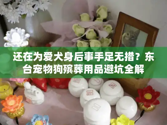 还在为爱犬身后事手足无措？东台宠物狗殡葬用品避坑全解