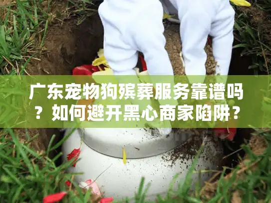 广东宠物狗殡葬服务靠谱吗？如何避开黑心商家陷阱？