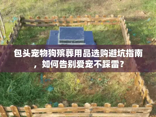 包头宠物狗殡葬用品选购避坑指南，如何告别爱宠不踩雷？