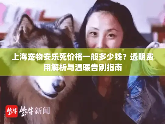 上海宠物安乐死价格一般多少钱？透明费用解析与温暖告别指南