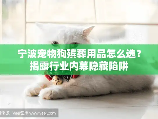 宁波宠物狗殡葬用品怎么选？揭露行业内幕隐藏陷阱
