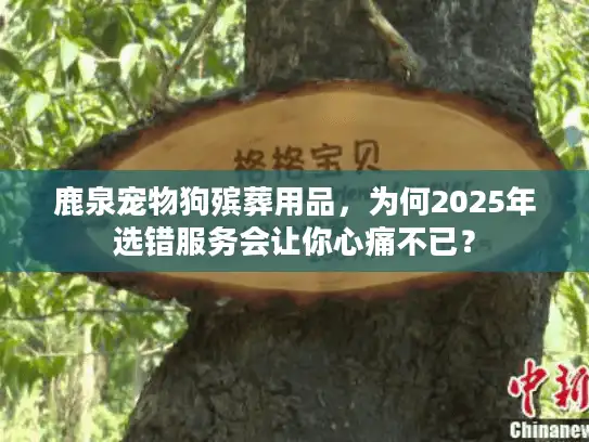 鹿泉宠物狗殡葬用品，为何2025年选错服务会让你心痛不已？