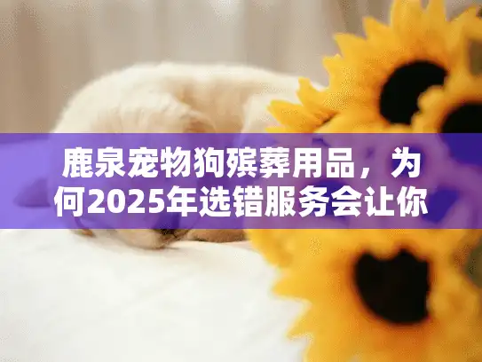 鹿泉宠物狗殡葬用品，为何2025年选错服务会让你心痛不已？