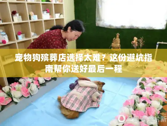 宠物狗殡葬店选择太难？这份避坑指南帮你送好最后一程