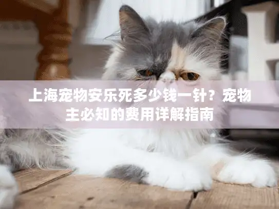 上海宠物安乐死多少钱一针？宠物主必知的费用详解指南