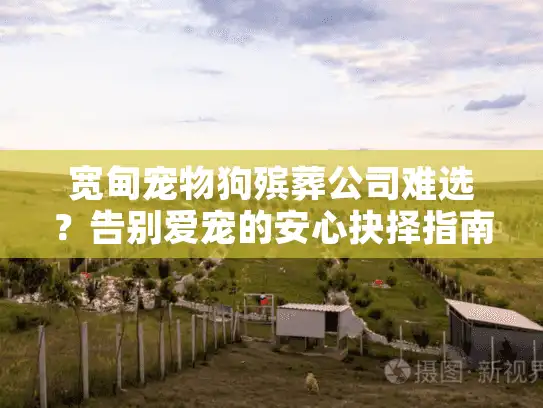 宽甸宠物狗殡葬公司难选？告别爱宠的安心抉择指南