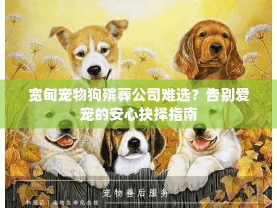 宽甸宠物狗殡葬公司难选？告别爱宠的安心抉择指南