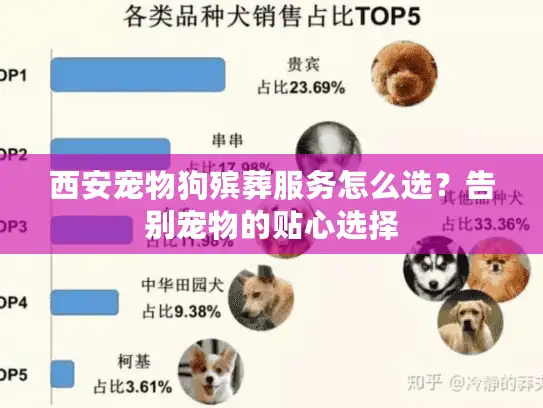 西安宠物狗殡葬服务怎么选？告别宠物的贴心选择