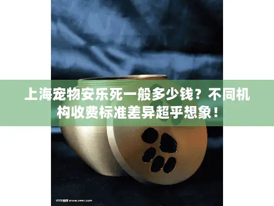 上海宠物安乐死一般多少钱？不同机构收费标准差异超乎想象！